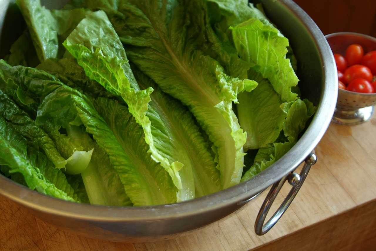 E. Coli food poisoning from lettuce