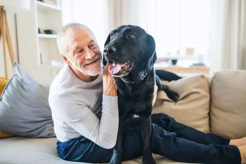Old Man With Dog